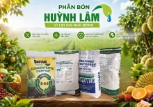 Top 10 công ty phân bón uy tín hàng đầu cho đại lý và cửa hàng vật tư nông nghiệp