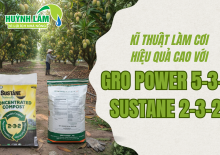 KĨ THUẬT LÀM CƠI HIỆU QUẢ CAO VỚI PHÂN BÓN GRO POWER 5-3-1 VÀ SUSTANE 2-3-2