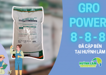 Phân bón hữu có Gro Power 8-8-8 đã cập bến kho hàng Huỳnh Lâm
