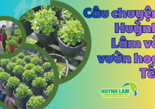 CÂU CHUYỆN HUỲNH LÂM VÀ VƯỜN HOA TẾT