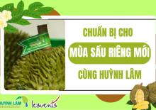 CHUẨN BỊ CHO MÙA SẦU RIÊNG MỚI CÙNG HUỲNH LÂM