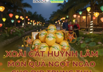 XOÀI CÁT HUỲNH LÂM - MÓN QUÀ NGỌT NGÀO CHO DỊP TRUNG THU