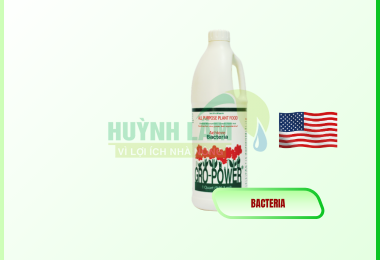 GRO POWER ACHIEVE BACTERTIA