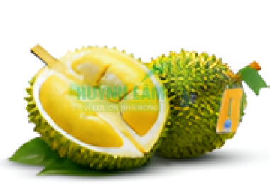 Sầu Riêng RI6