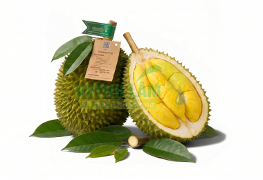 Sầu Riêng Musang King