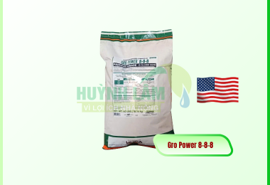 Gro Power 8-8-8 Vi Sinh