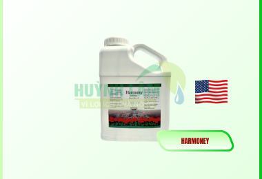 LIVE EARTH HARMONY