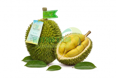 Sầu Riêng Sáu Hữu