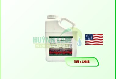 LIVE EARTH TREE & SHRUB