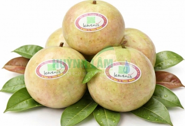 Vú sữa bơ hồng