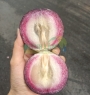 Vú sữa bơ hồng