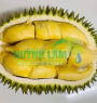 Sầu Riêng Sáu Hữu
