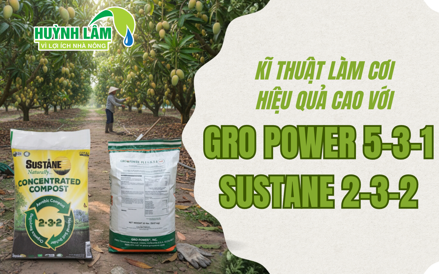 KĨ THUẬT LÀM CƠI HIỆU QUẢ CAO VỚI PHÂN BÓN GRO POWER 5-3-1 VÀ SUSTANE 2-3-2