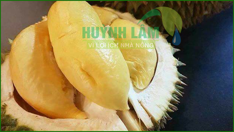 ăn sầu riêng không nên để lâu