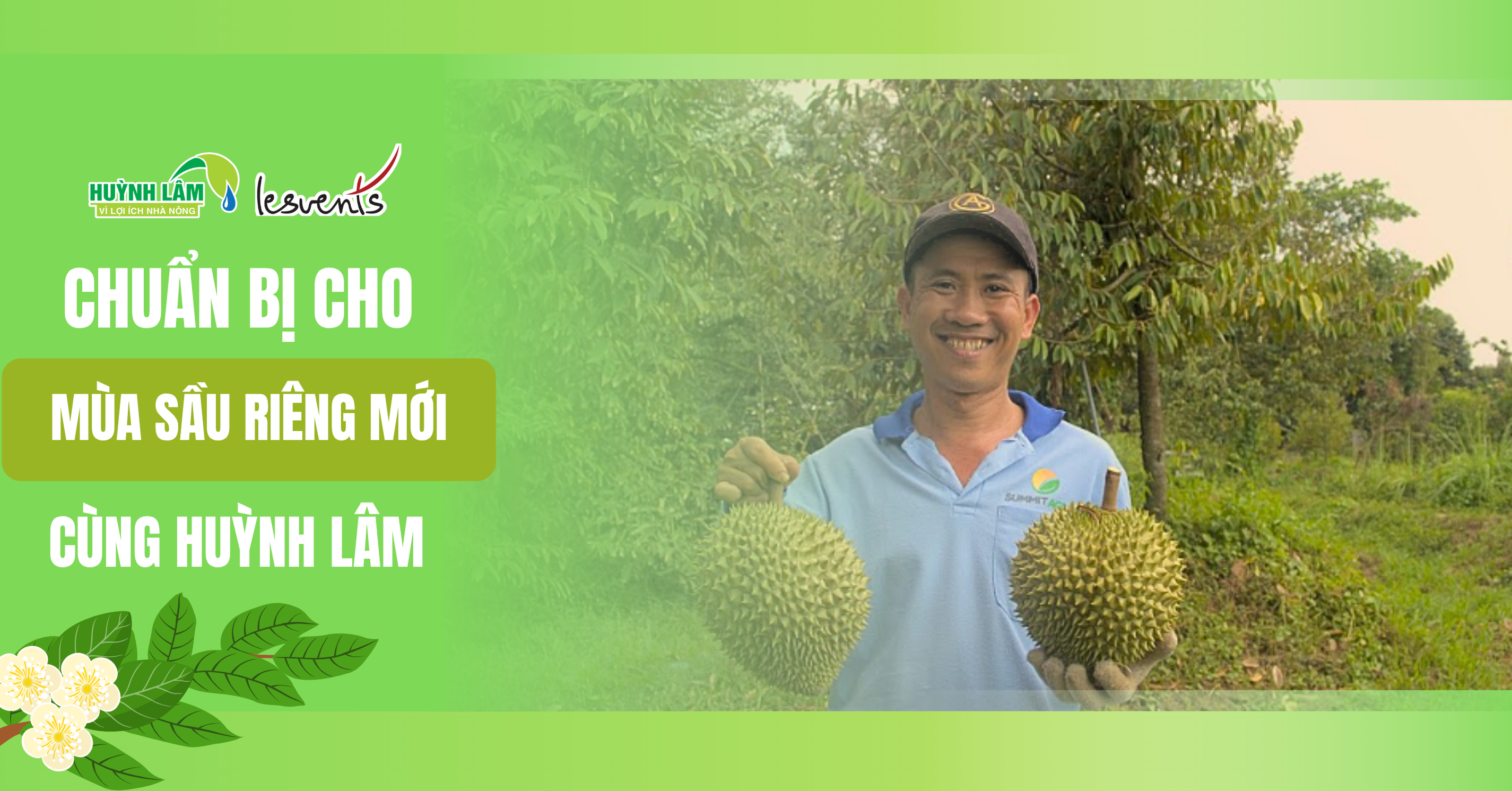 Các nhà nông thực hiện thu hoạch sầu riêng
