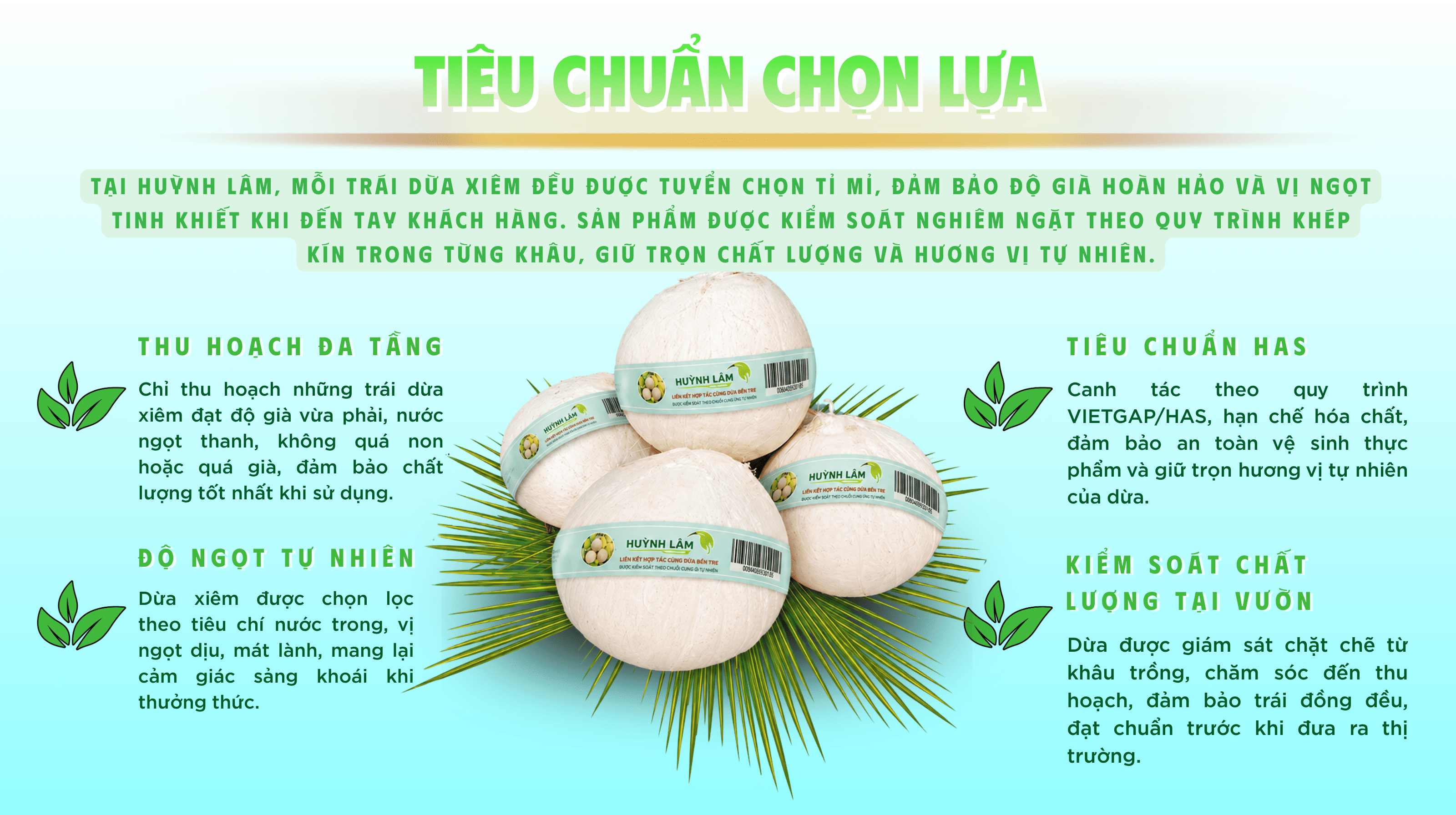 dừa xiêm